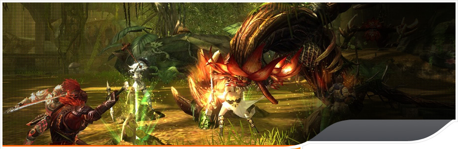 RaiderZ