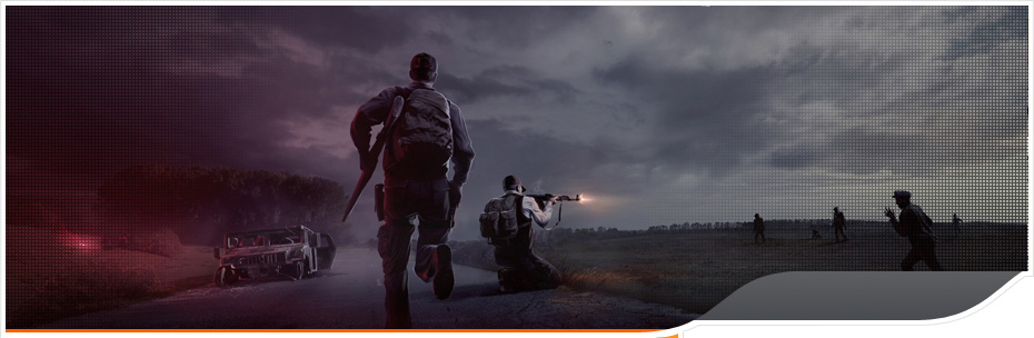 DayZ