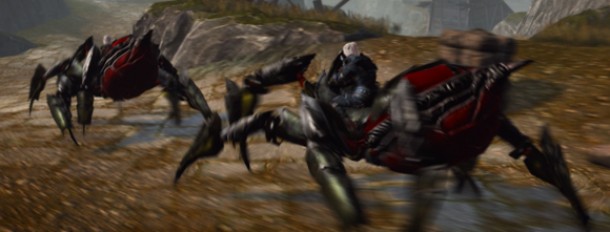 Neverwinter Mounts