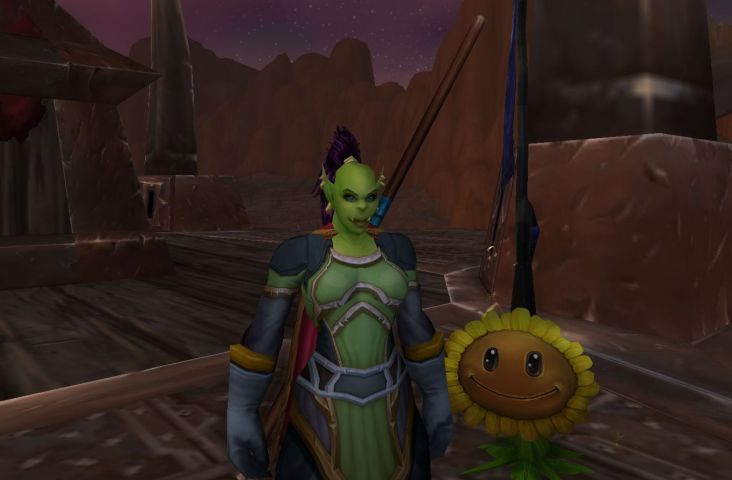 World of Warcraft - Haustierkampf-Dungeons