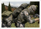 DayZ