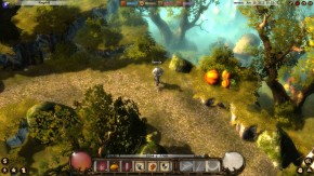 Drakensang Online Screenshot