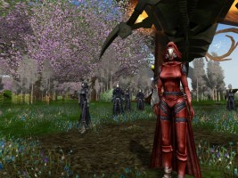 Ryzom Screenshot