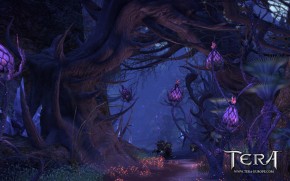 TERA Screenshot