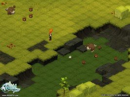 Wakfu Screenshot