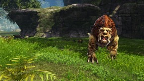 Dragon's Prophet Screenshot