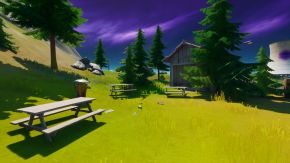 Fortnite Screenshot