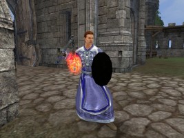 Dark Age of Camelot Screenshot
