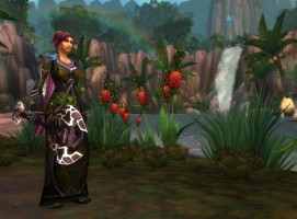 World of Warcraft Screenshot