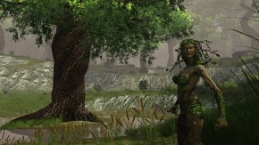 Dungeons & Dragons Online Screenshot