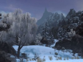 Guild Wars Screenshot