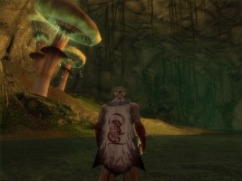 Guild Wars Screenshot