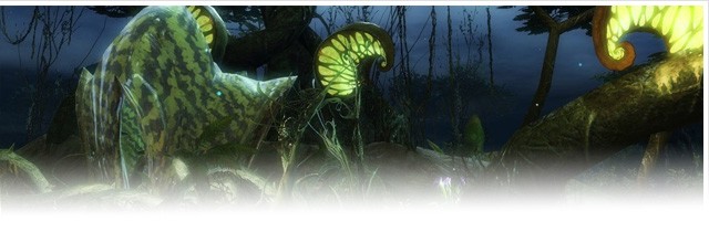 Guild Wars 2 - Brandneue Informationen zum World vs World PvP