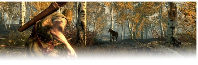 The Elder Scrolls Online - Infos �ber das Dolchsturz-B�ndnis
