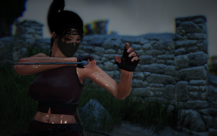 Black Desert - Neue Klassen und Belagerungsk�mpfe