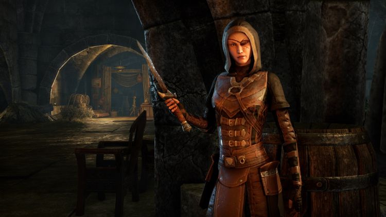 TESO - DLC �Shadow of the Hist� sorgt f�r individuelle Charakteranpassung und neue PvP Inhalte