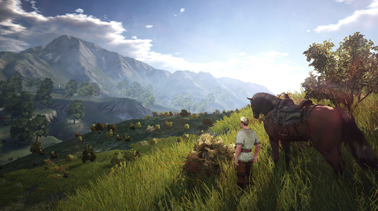 Black Desert - Zusammenlegung der amerikanischen und europ�ischen Server steht bevor