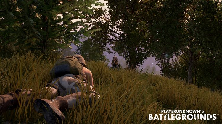 Playerunknown�s Battlegrounds - Release des Battle Royale Shooters verschoben