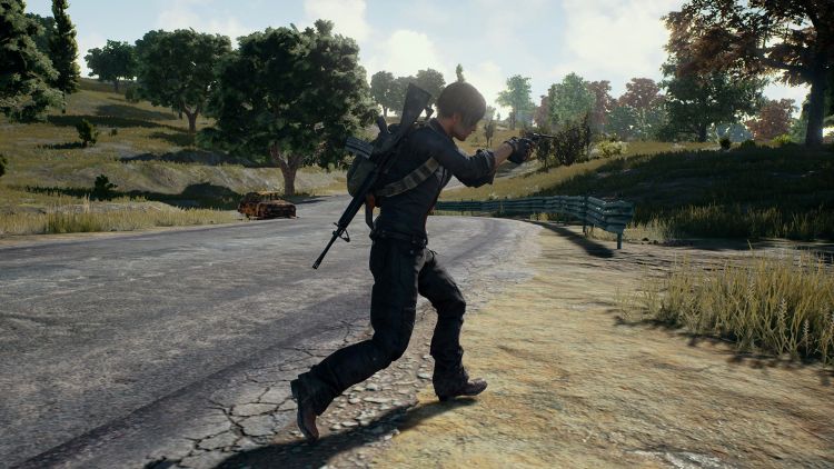 PlayerUnknown's Battlegrounds - Patch Probleme � Weniger n�tzliche Waffen auffindbar