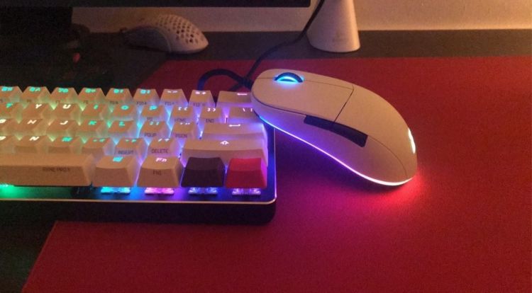  - Neu bei Caseking: Endgame Gear XM1 RGB Gaming-Maus fr ambitionierte Gamer!