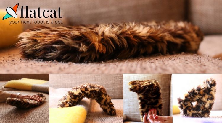 Die ersten paar Flatcats sind ab sofort und nur noch sieben Tage lang auf Kickstarter - flatcat, der gruseligste Roboter aller Zeiten, ist nur noch sieben Tage auf Kickstarter