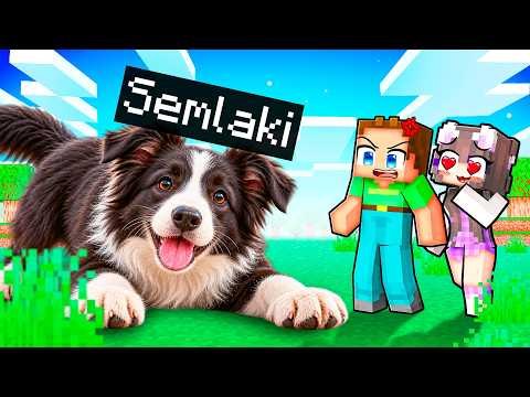 Ich habe in Minecraft so getan, als wäre ich ein REALISTISCHER HUND...