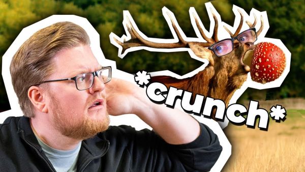 Vom JÄGER zum GEJAGTEN! | Oh Deer