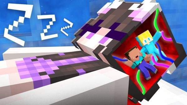 Wie Ukri Nellys GEHIRN kontrolliert hat in Minecraft!