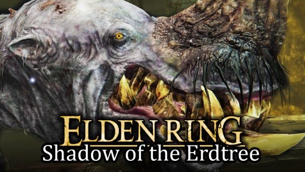 Happy Holy Hippo & das Ritual mit Mohg! | SHADOW OF THE ERDTREE (Part 18)