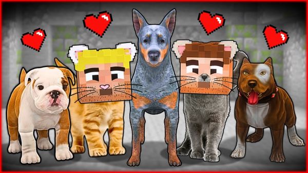 KÖPEK ÇETESİ VE KEDİ ÇETESİ ARKADAŞ OLDU! 😍 - Minecraft