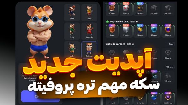 آپدیت جدید همستر 🔥 سکه مهم تر از پروفیت است 