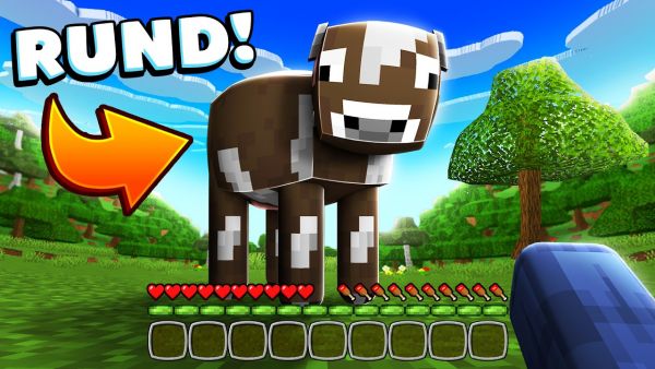 Ich teste DUMME Minecraft MODS...