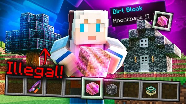 Wie ich ALLE ILLEAGALEN Items auf dem MYSTIC SMP bekommen habe