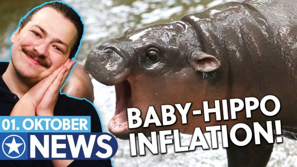 Nilpferd-Star löst 900%-ige Preissteigerung bei MMO aus!