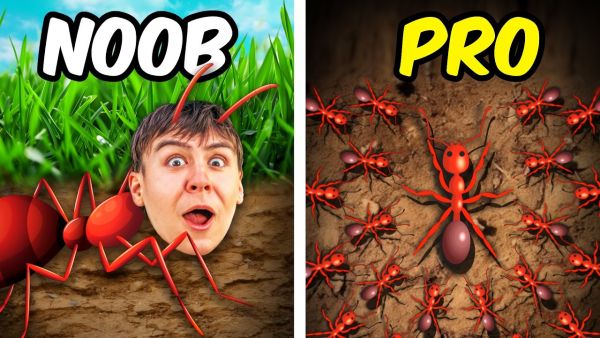 1 AMEISE VS 1.000.000 AMEISEN!  - Pocket Ants