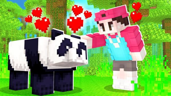 Ich FINDE einen PANDA! (Youtuber Insel 3)