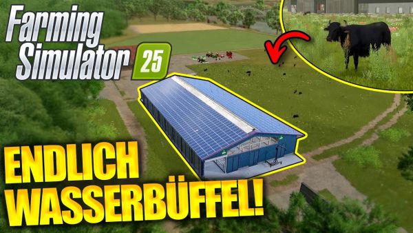 Kuhstall mit RIESIGER Weide bauen! | Farming Simulator 25