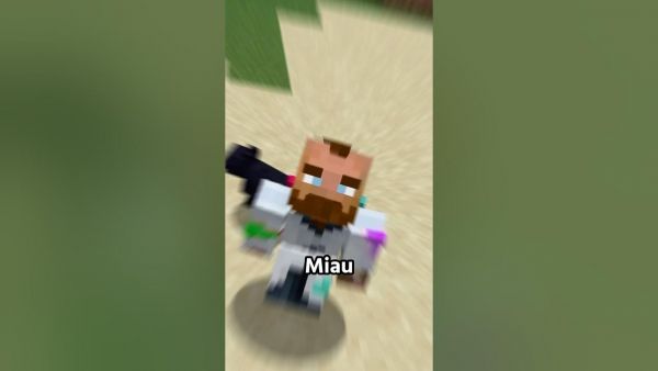 Minecraft Mods aber CURSED! Teil 23 #minecraft #minecraftmods #minecraftdeutsch #minecrafter