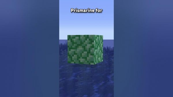 The Sculk Catalyst Texture Has A SECRET...