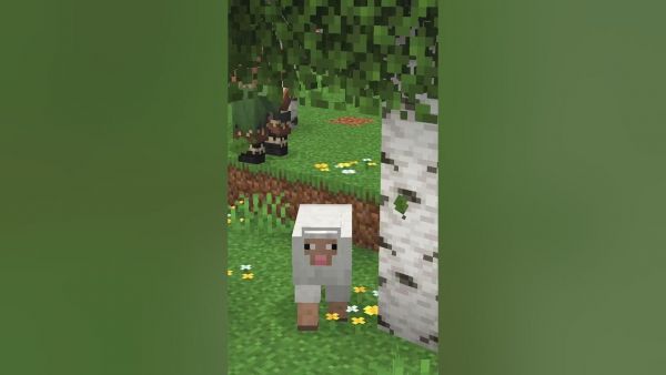 Die ERSTEN Features des kommden Minecraft Updates!