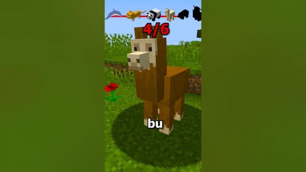 Minecraft'ta Adım Söylendiğinde Hayvana Dönüşüyorum !! #shorts
