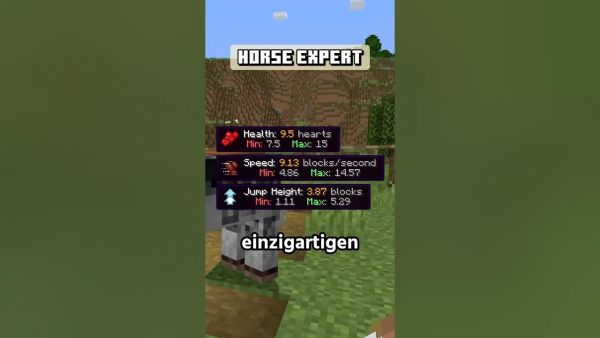 Minecraft Mods aber CHILLIG! #minecraft #minecraftmods #minecraftdeutsch #minecrafter #mcde