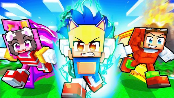 Die SCHNELLSTE SONIC FAMILIE werden in Minecraft!