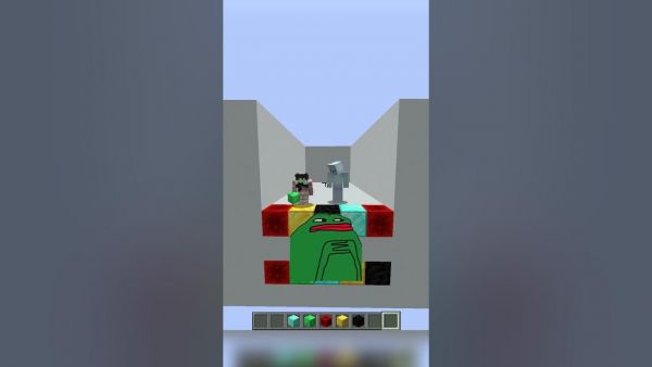 Who is Smarter? #shorts #minecraft #minecraftshorts