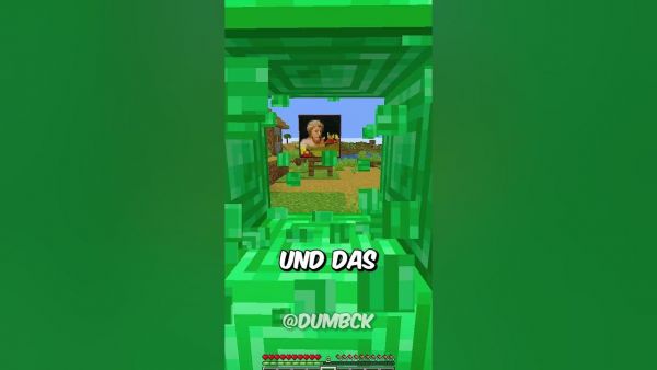 REALISTISCHE MINECRAFT GEMÄLDE!⛏️ #shorts