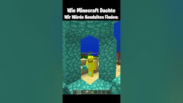 Minecraft Aquisator Moment