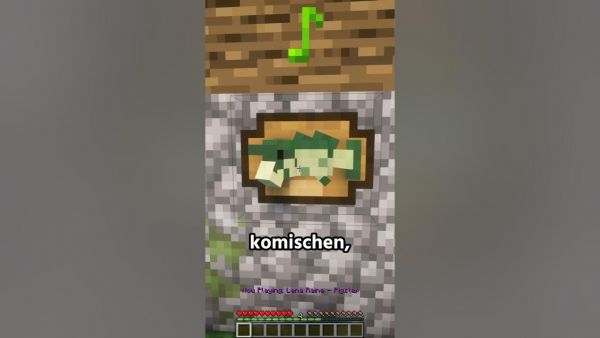 Minecraft Mods, die wirklich NIEMAND braucht! #minecraft #minecraftmods #minecraftdeutsch #mcmods