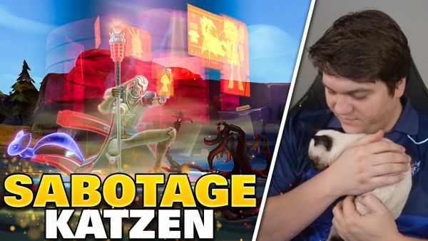 Meine Katzen Sabotieren meine Games!
