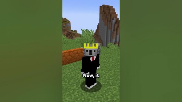 This Block Could Make Minecraft A MILLION Times Better...