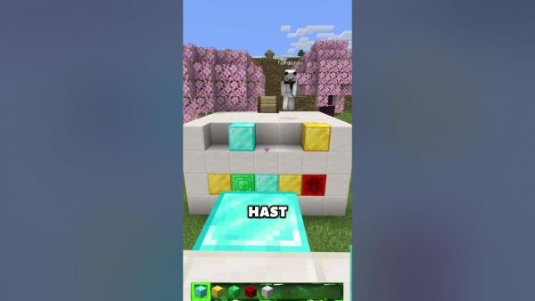 Errate die Blöcke mit @tordishorts in Minecraft! 😳 #minecraft #shorts #minecraftshorts